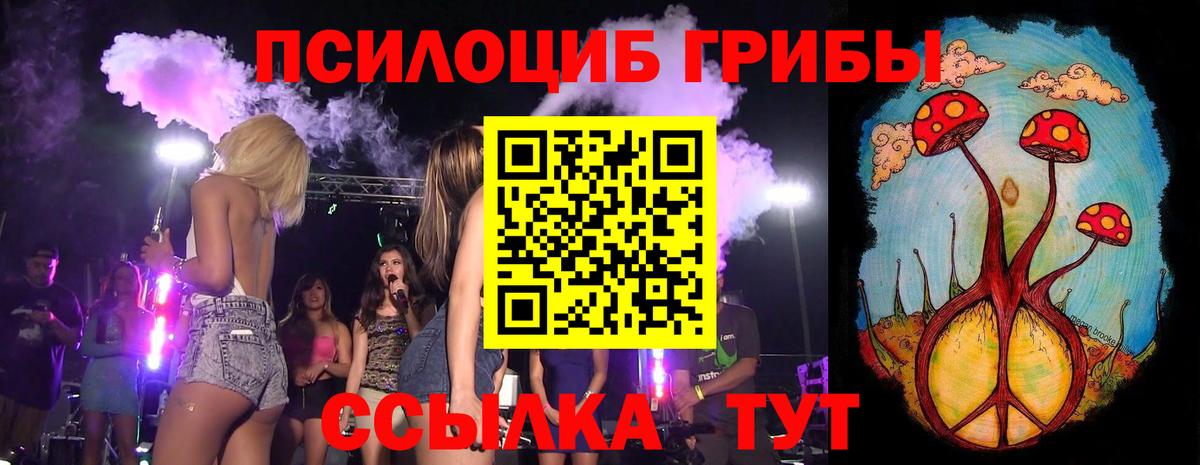Ивантеевка  Галлюциногенные грибы Psilocybine cubensis  Галлюциногенные грибы Cubensis  Вход с VPN 